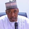 Babagana Zulum, Governor of Borno State